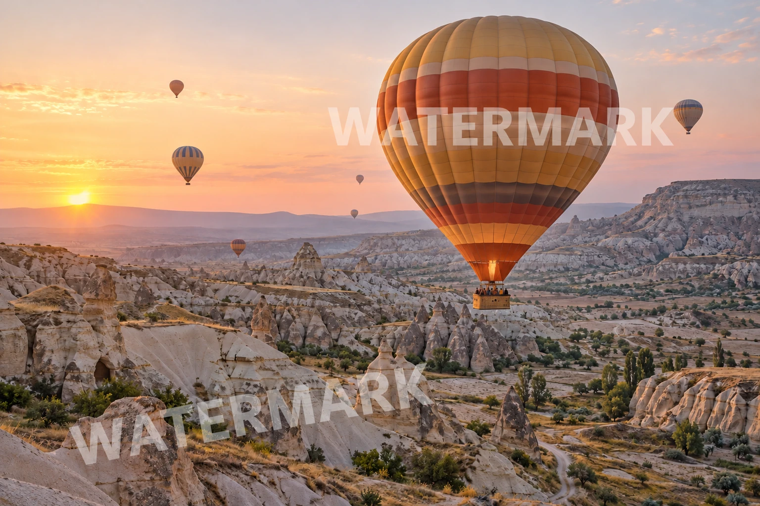 Hot air balloons