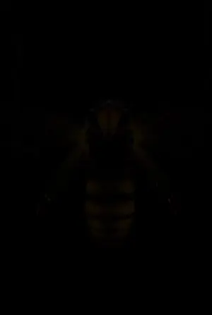 Bioluminescent Bee Circuit