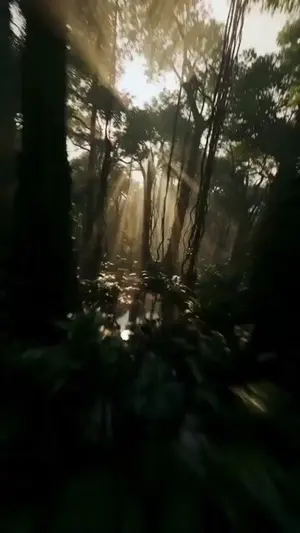 FPV Drone Shot through Tikal