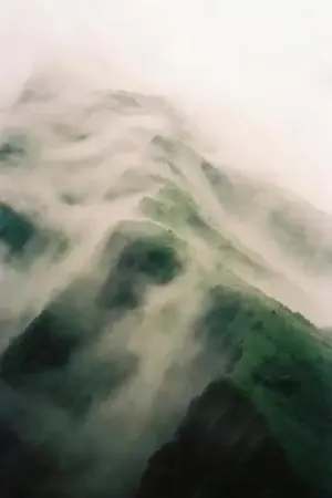 Mermaid Dolphin Wave Sequence