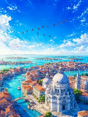 Aerial Lagoon Scenery with Geese