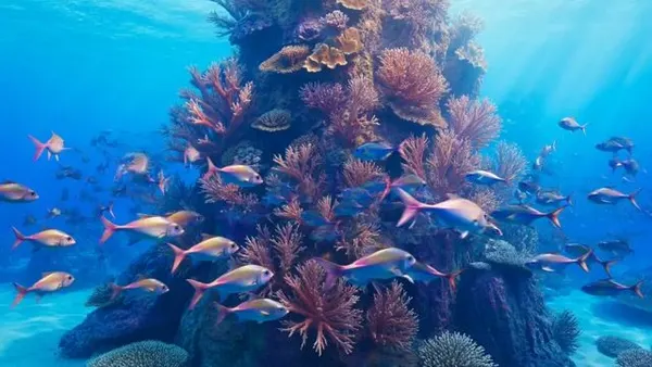 Underwater Coral Reef Fantasy — AI画像プロンプトの例
