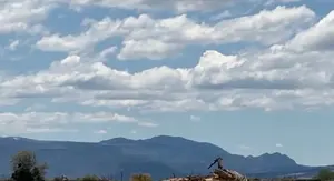 Flying Pterodactyl Animation
