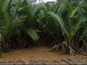 Mutated Crocodile Jungle Escape
