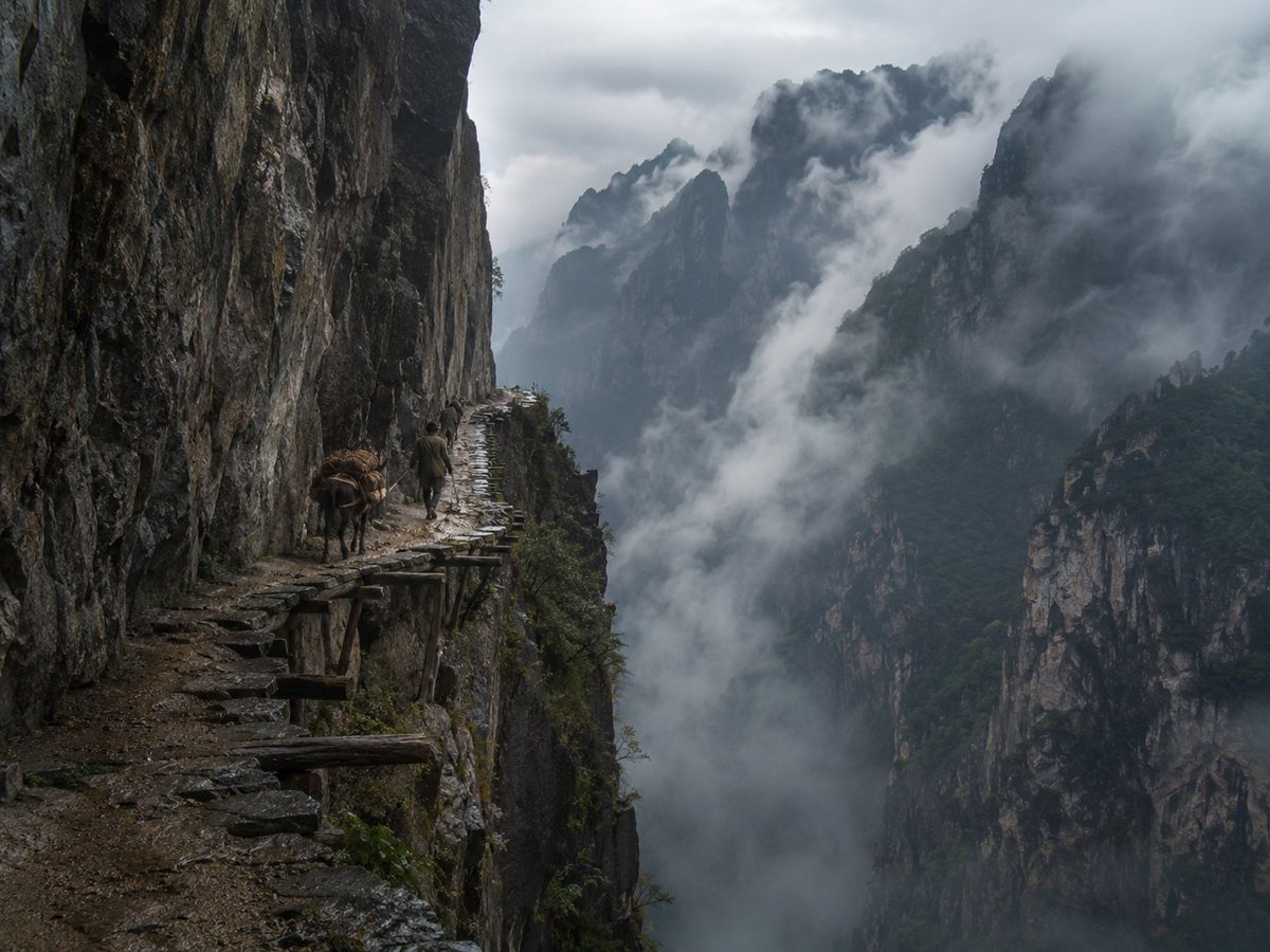Misty Cliffside Mule Trail
