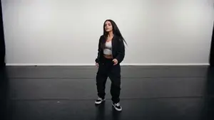 Dynamic Multi-Style Dance Flicker