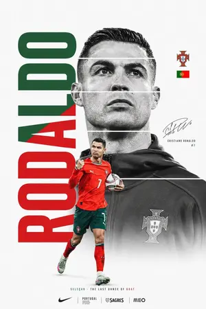 FIFA World Cup Minimalist Poster
