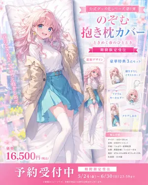 Anime Dakimakura Preorder Poster