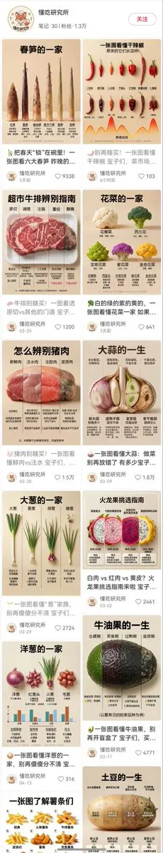 Food Lifecycle Infographic Prompt