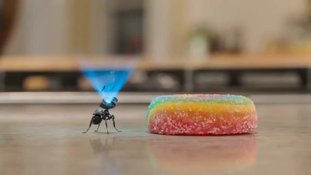 Animated mission of Barnaby the robot ant