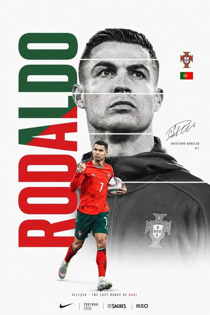 FIFA World Cup Minimalist Poster reference
