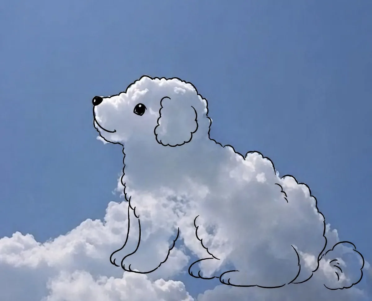 Cloud shape doodle generation reference