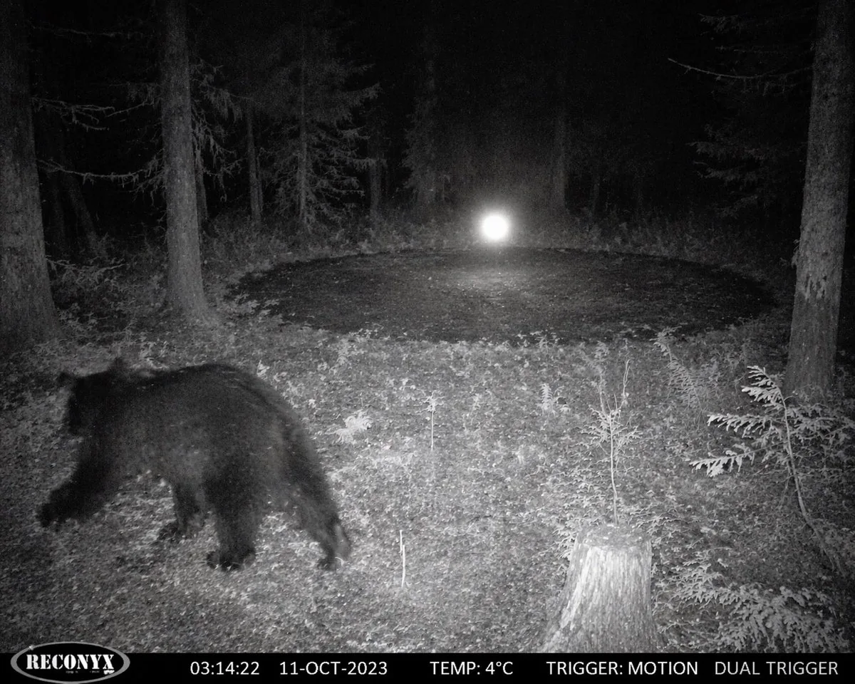 Paranormal Trail Camera Encounter reference