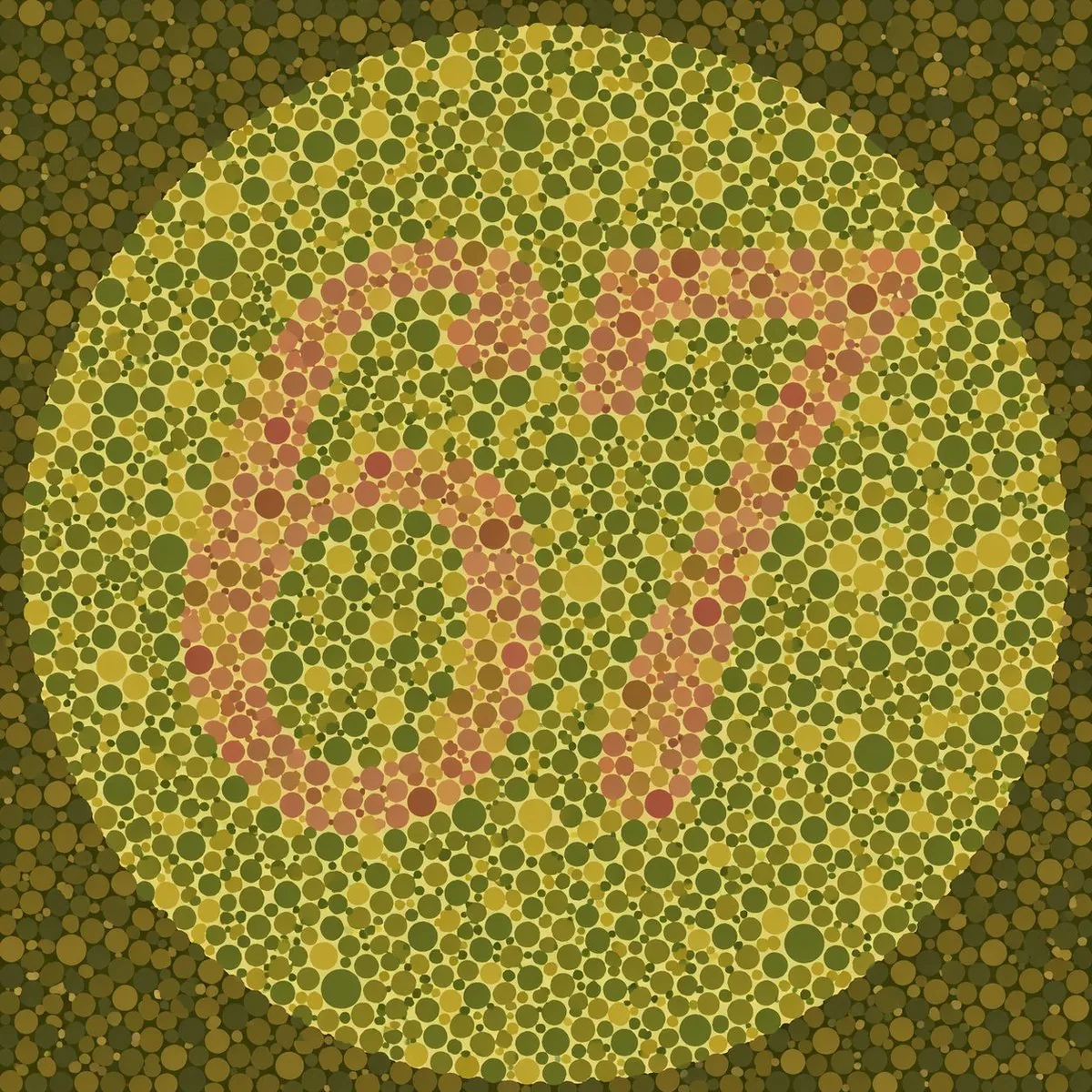 Ishihara Color Blindness Test Plate reference