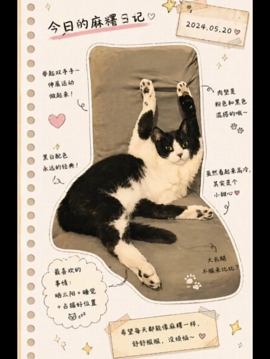 Japanese Journal Style Cat Diary reference