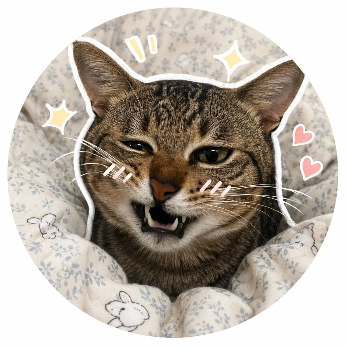 Social Media Pet Avatar Creator reference