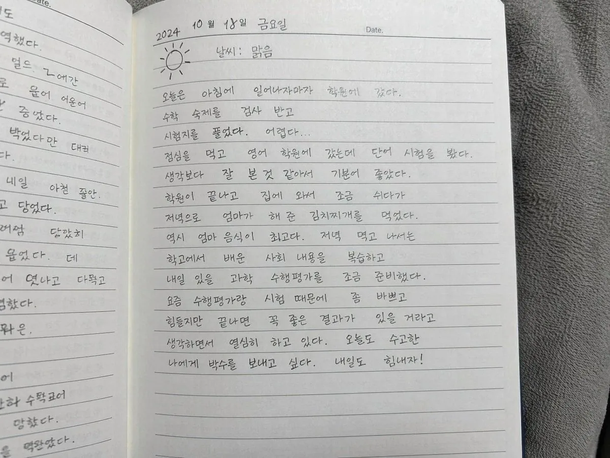 Handwritten Korean Diary Entry reference