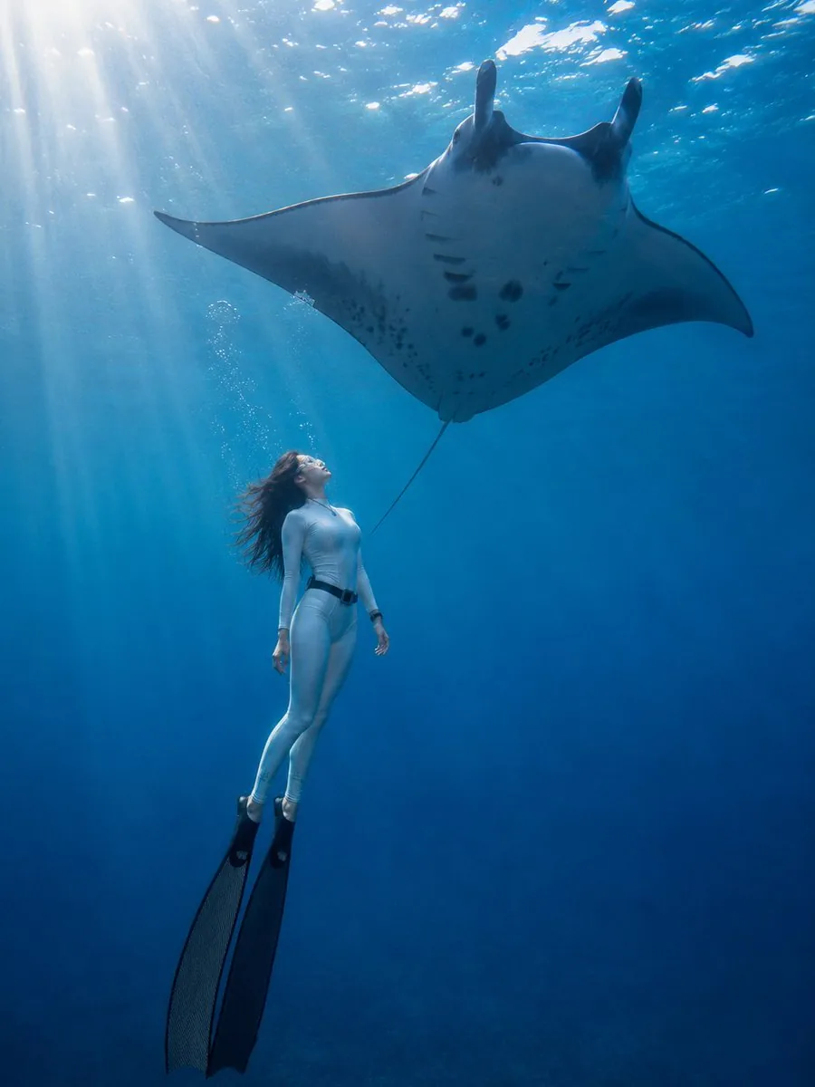 Dreamy Underwater Freediving Photography Series reference