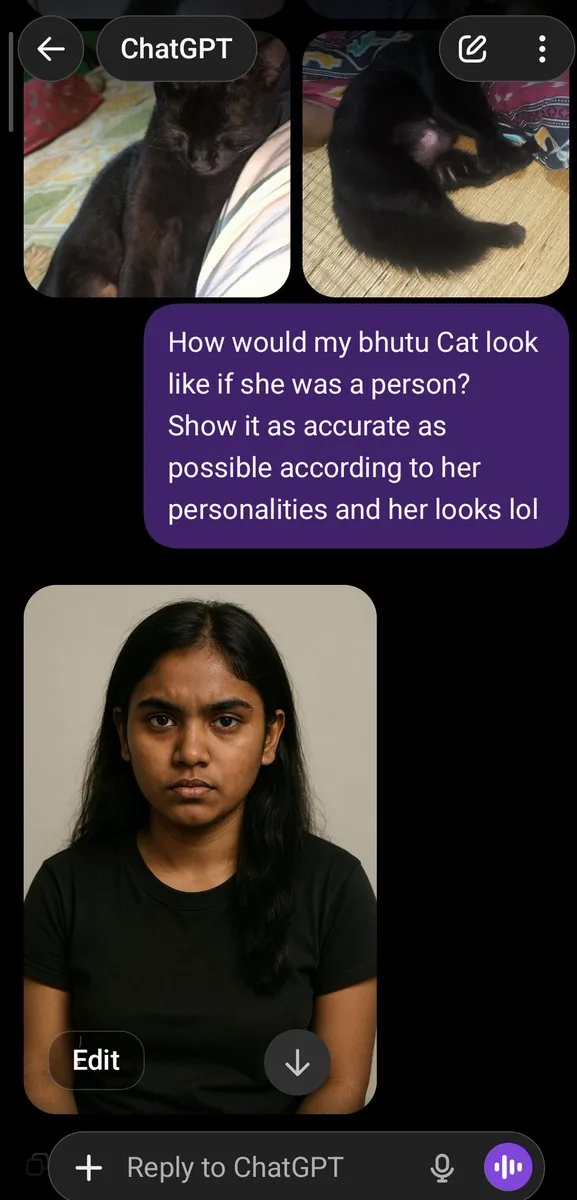 Cat to Person Character Visualization reference