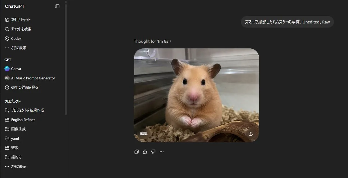 ChatGPT Hamster Image Screenshot reference