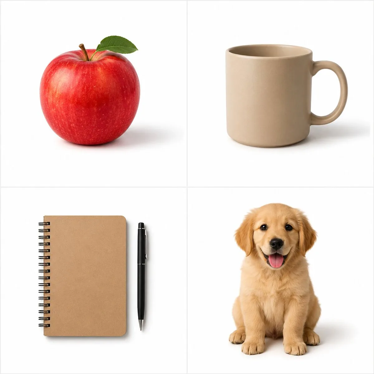 Minimalist Studio Object Photography reference