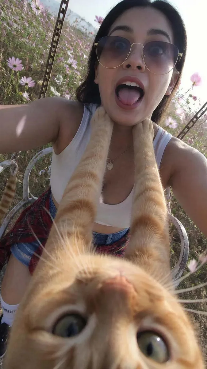 Funny Cat POV Selfie reference