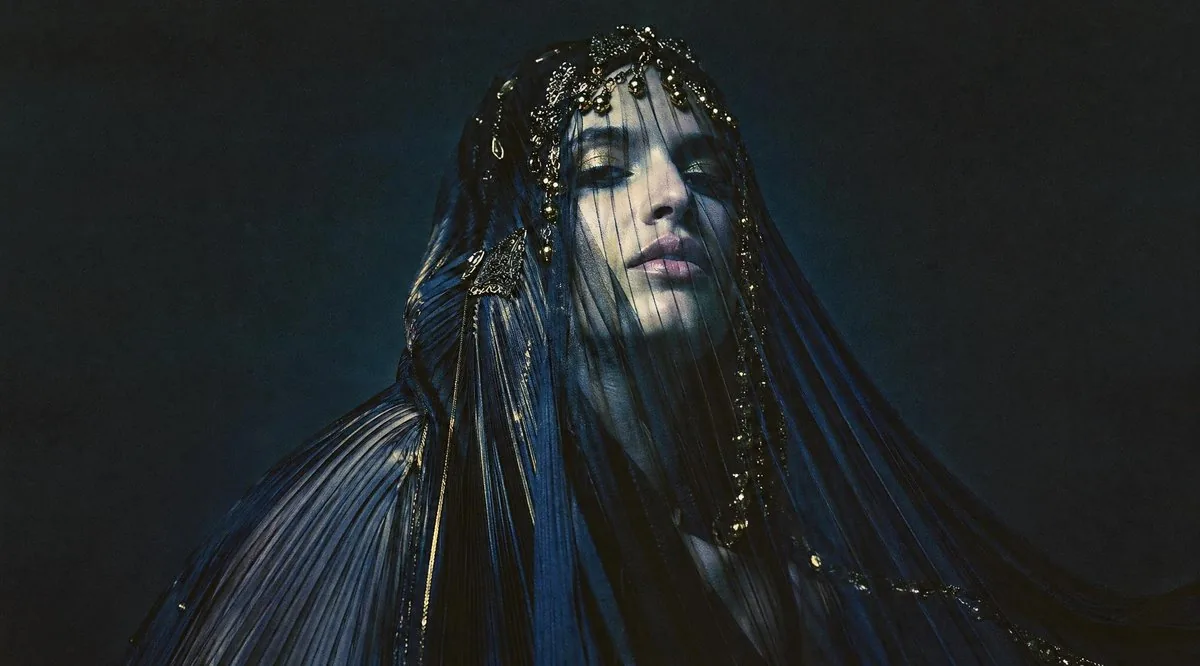 Dark Veiled Couture Portrait reference