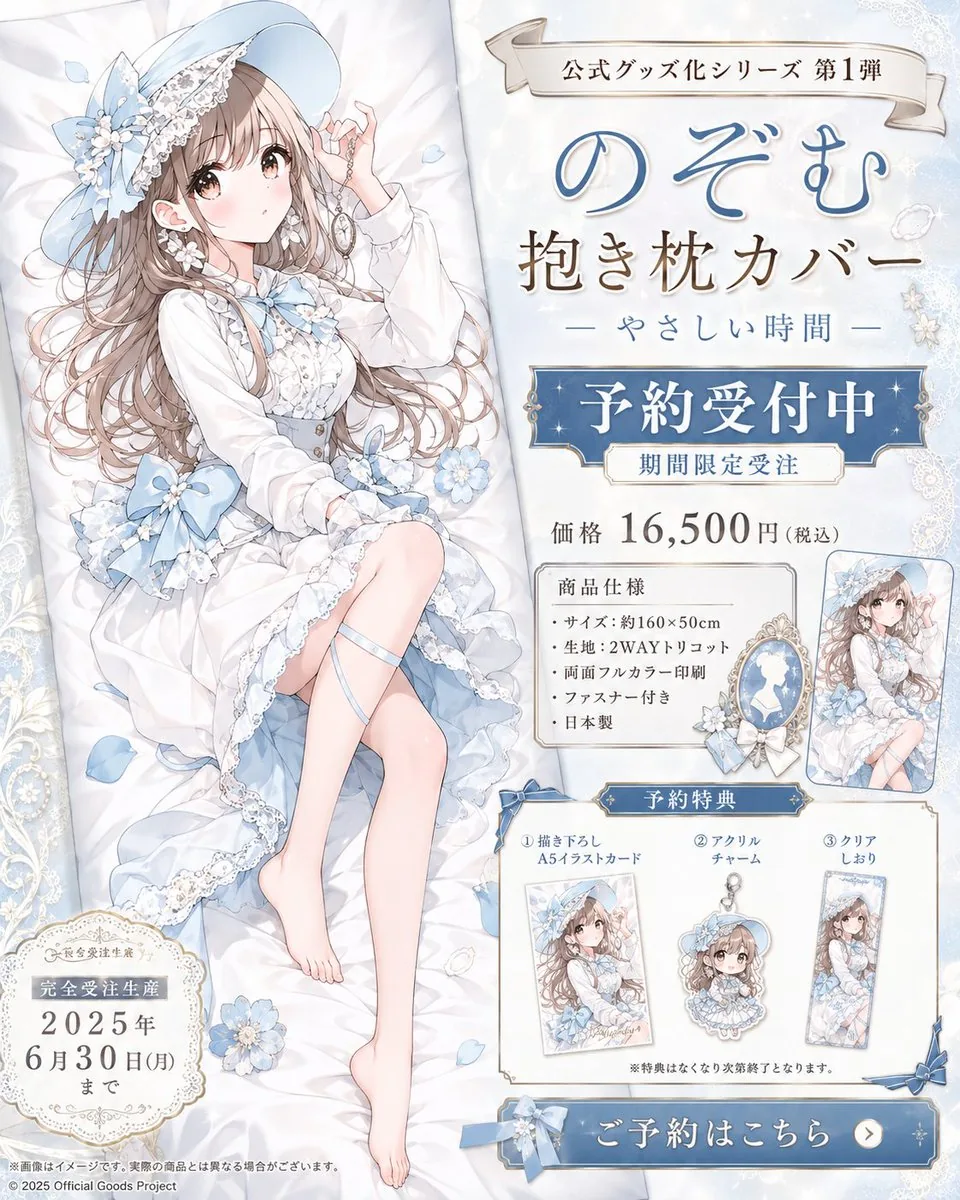 Anime Dakimakura Preorder Poster reference