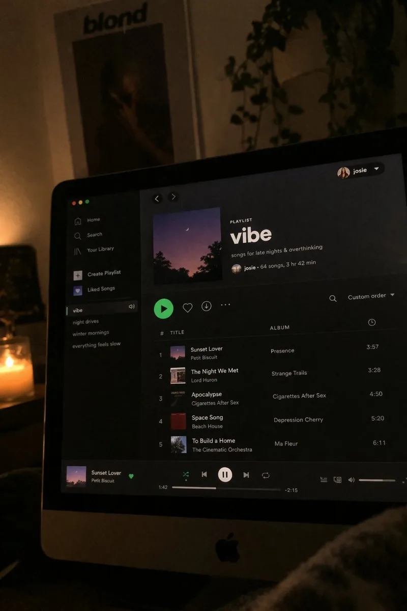Spotify Playlist Screen at Night reference