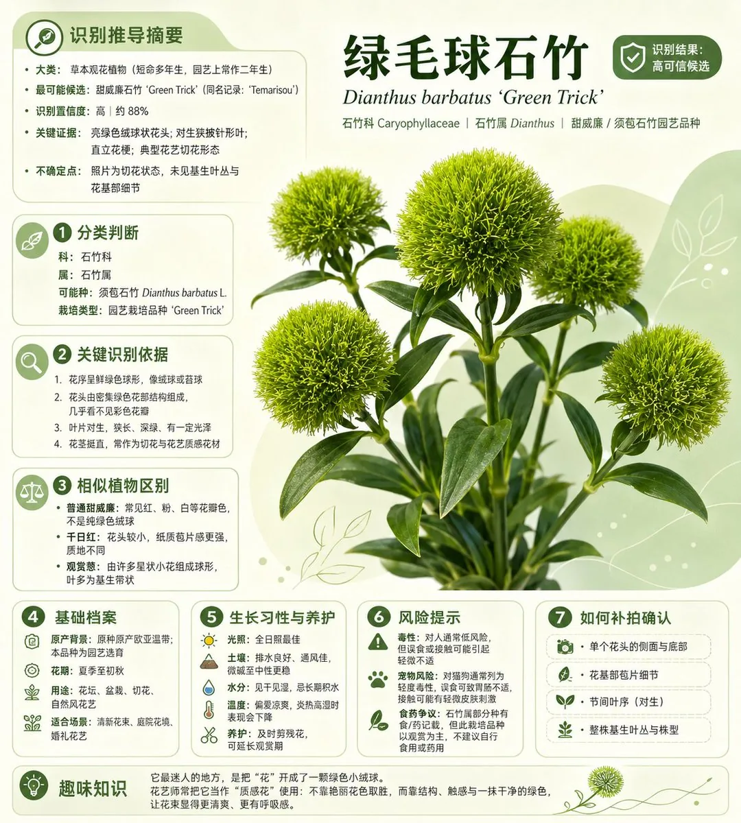 Chinese Plant ID Infographic reference
