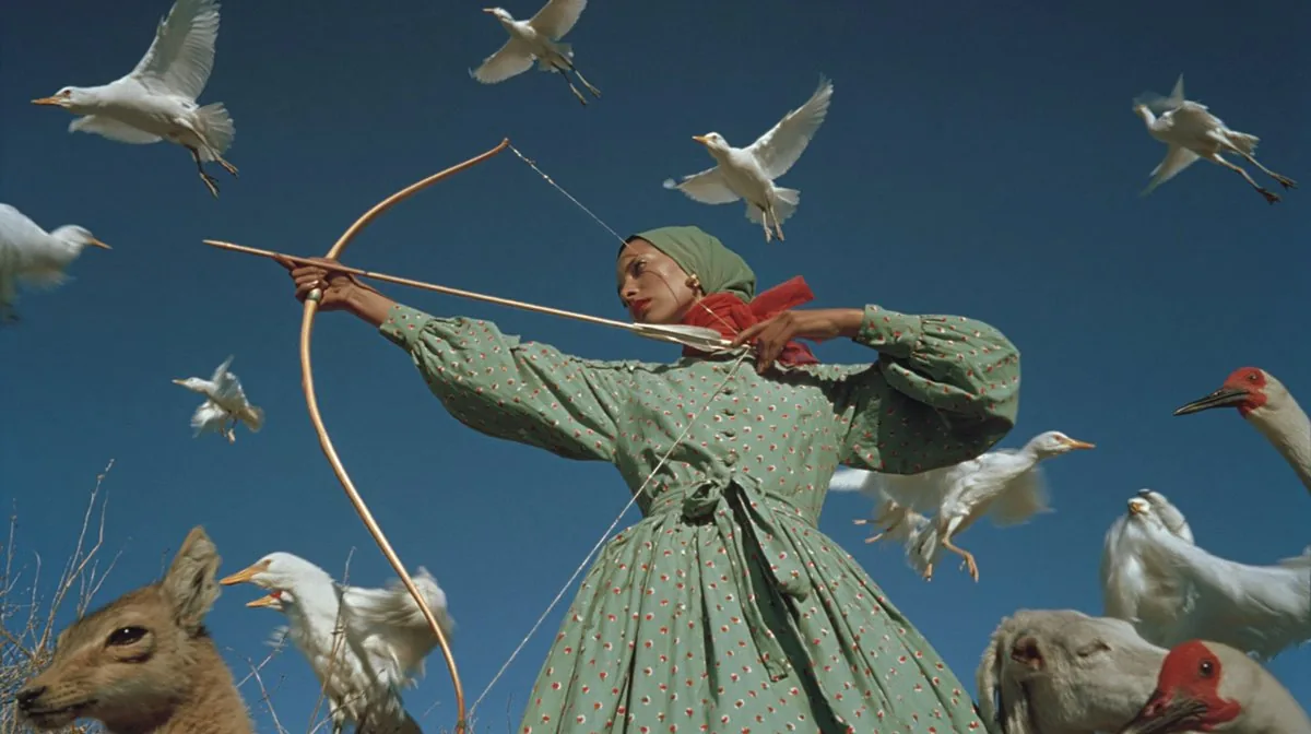 Surreal Archer With Birds and Animals reference