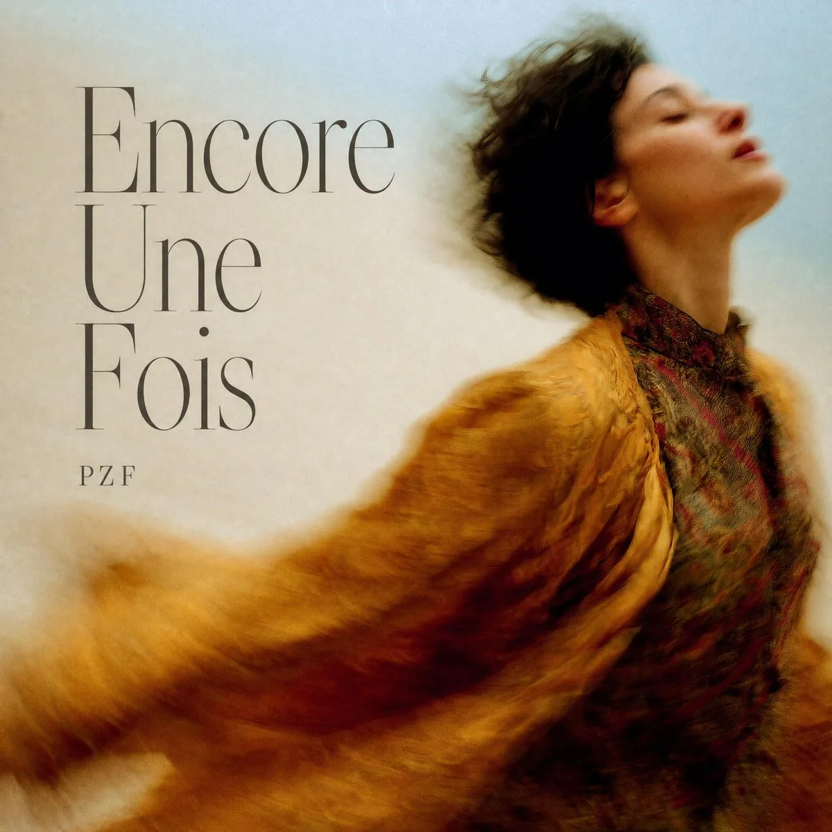 French Indie Album Cover reference
