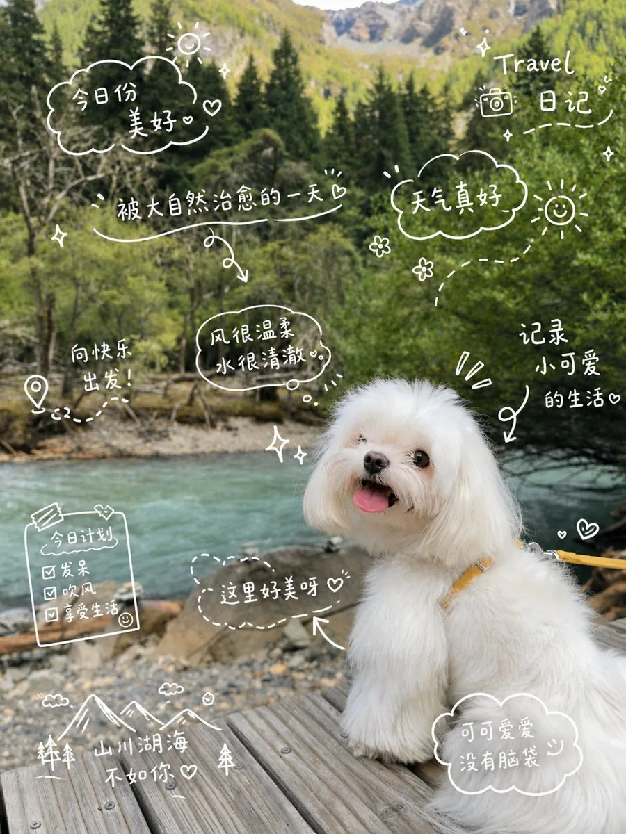 Cute Dog Travel Diary Doodles reference