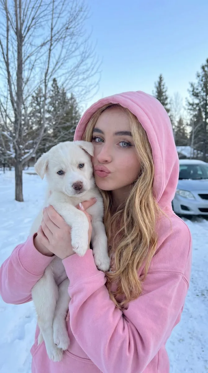 Playful Winter Puppy Portrait - Nano Banana Pro AI Prompt for Social Media Post reference