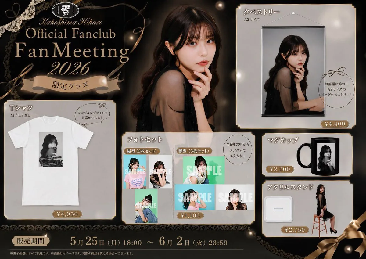 Elegant Fan Meeting Goods Flyer reference