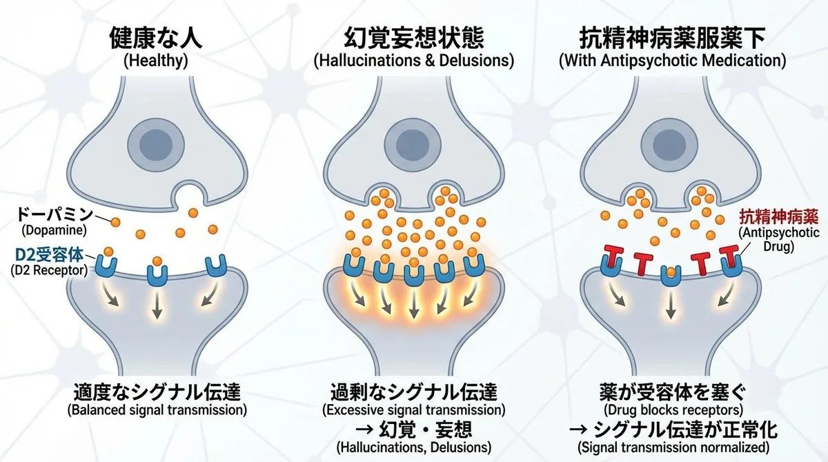 Dopamine and schizophrenia synapse diagram reference