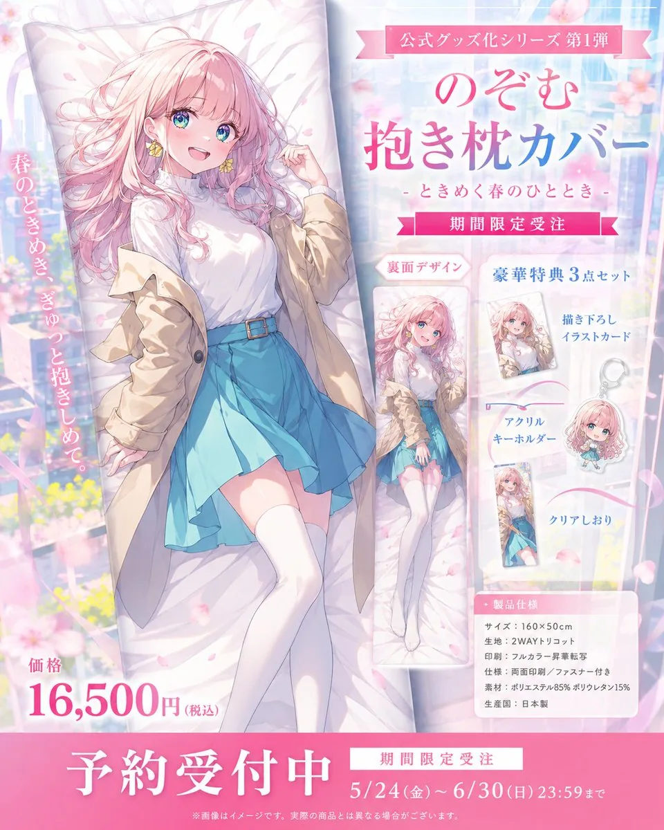 Anime Dakimakura Preorder Poster reference