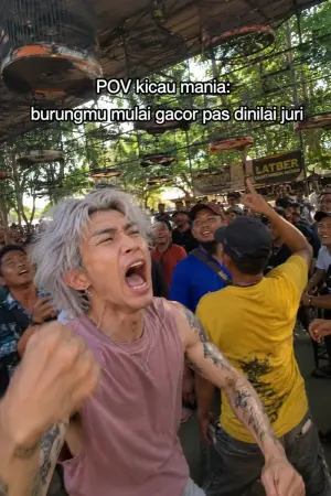 Candid Bird Contest Meme Photo