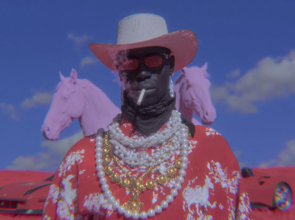Surreal Cowboy Fashion Portrait reference