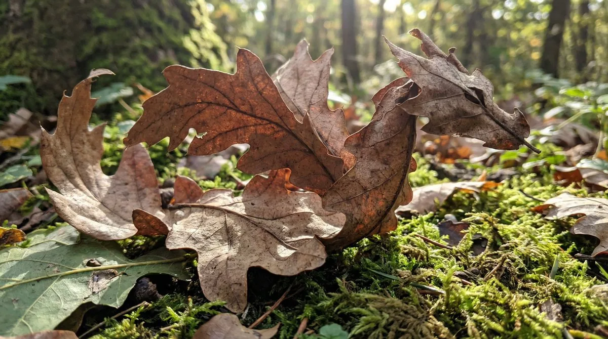 Dragon-Shaped Leaf reference