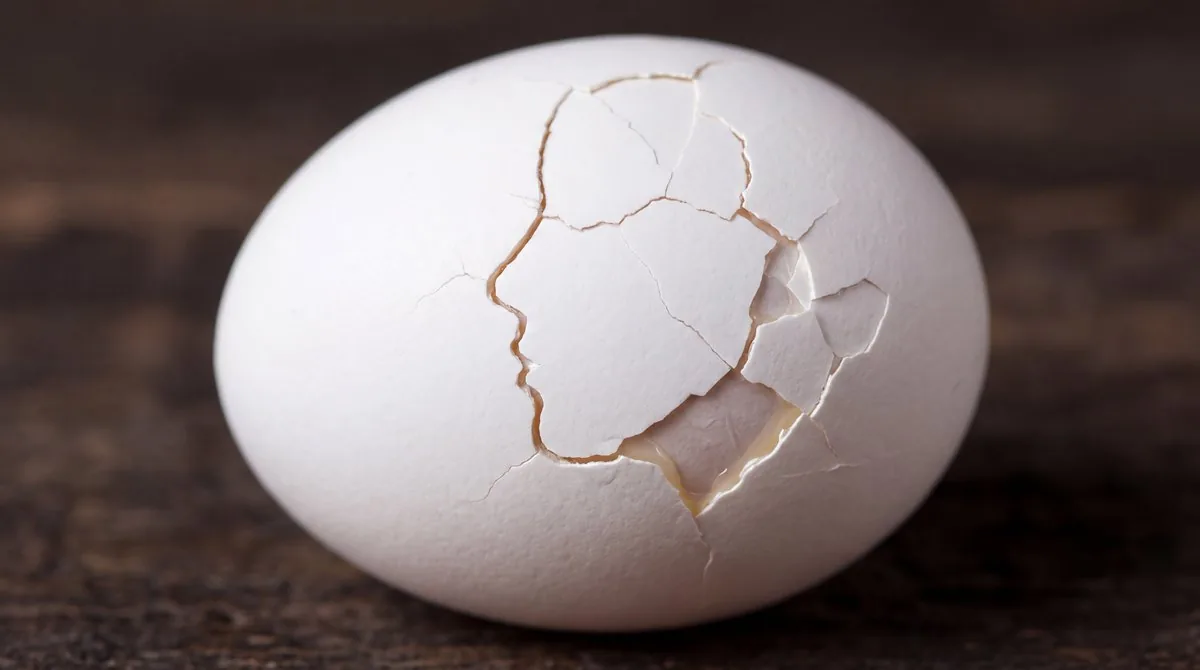 Cracked Egg with Shape Outline reference