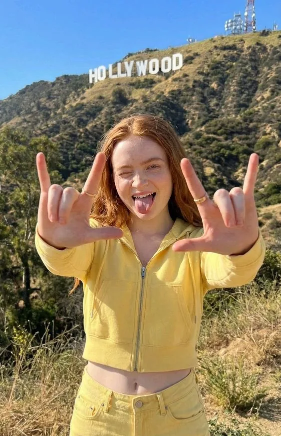 Photorealistic Portrait of Sadie Sink on the Hollywood Hillside - Nano Banana Pro AI Prompt for Social Media Post reference