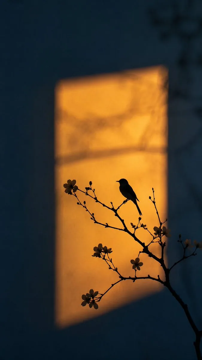 Artistic Silhouette Amber Light Photography reference