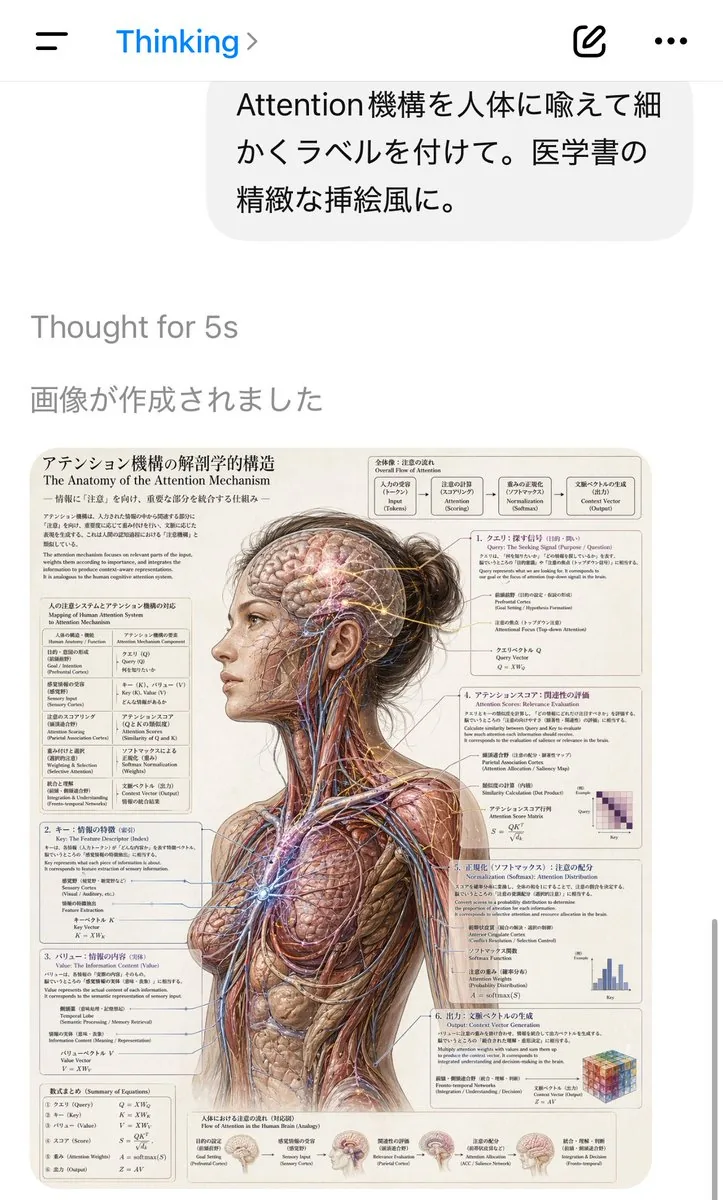 AI Chat Screenshot with Anatomy Poster reference
