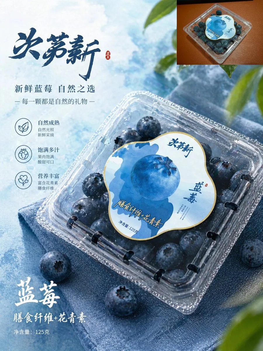 Premium Blueberry Product Poster reference