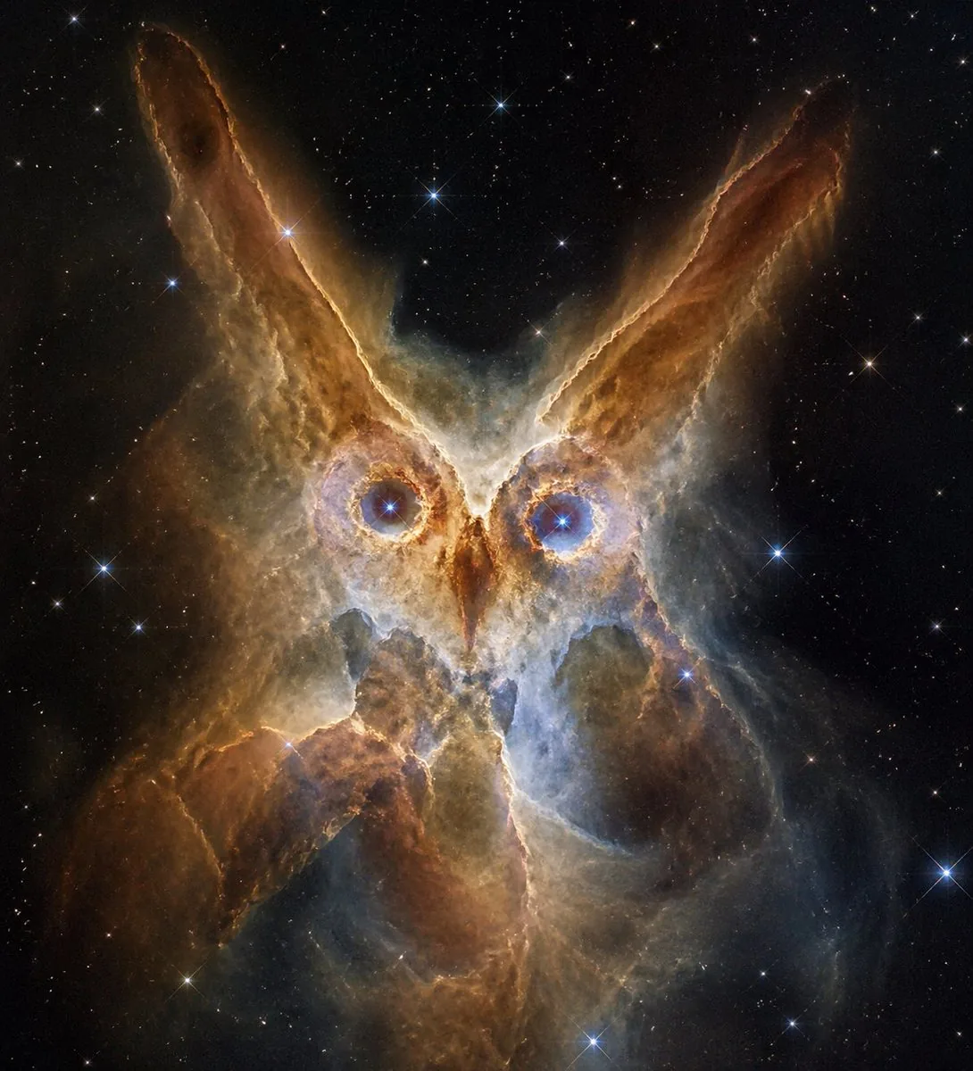 Owl-Shaped Nebula in Deep Space reference