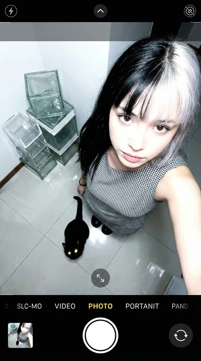 Overhead Smartphone Selfie with Black Cat - Nano Banana Pro AI Prompt for Profile / Avatar reference