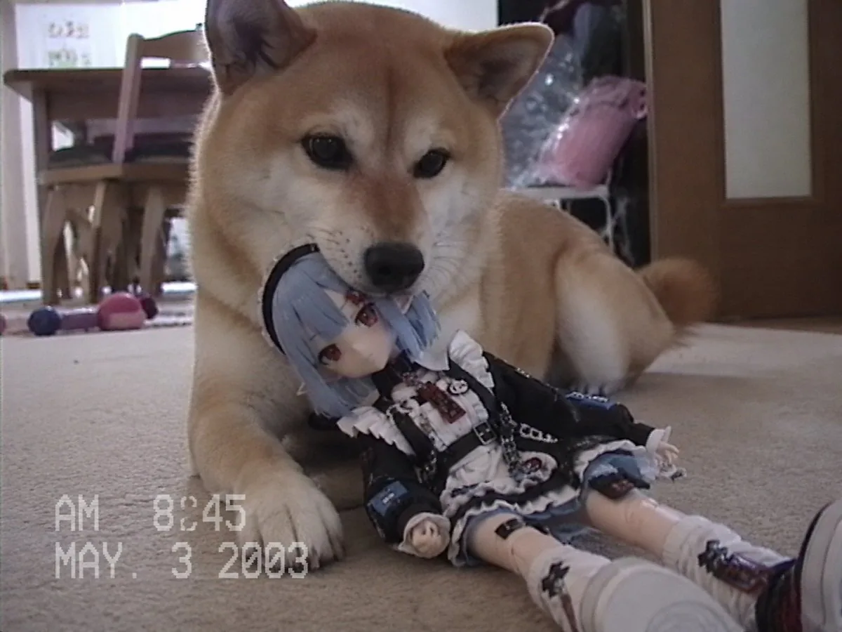 Nostalgic Home Video Doll Effect reference