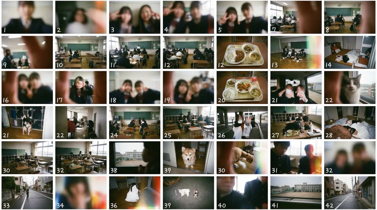 Film Negative and Thumbnail Sheet Generation Prompt reference