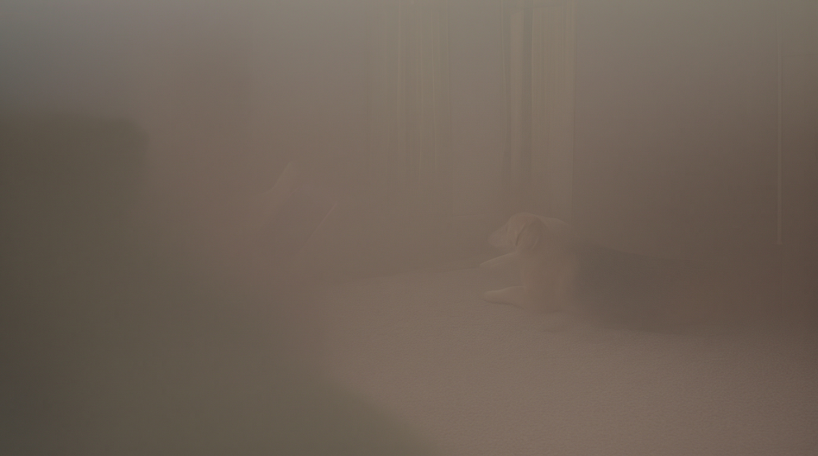 A beagle resting on a cream rug near a window in soft morning light, with an owner's hand holding a phone at the dog's eye level previewing a portrait-style photo, evoking an at-home AI pet photoshoot setup.